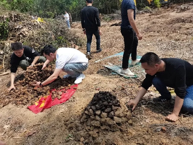 1616028512524987.jpg 640.webp (1).jpg